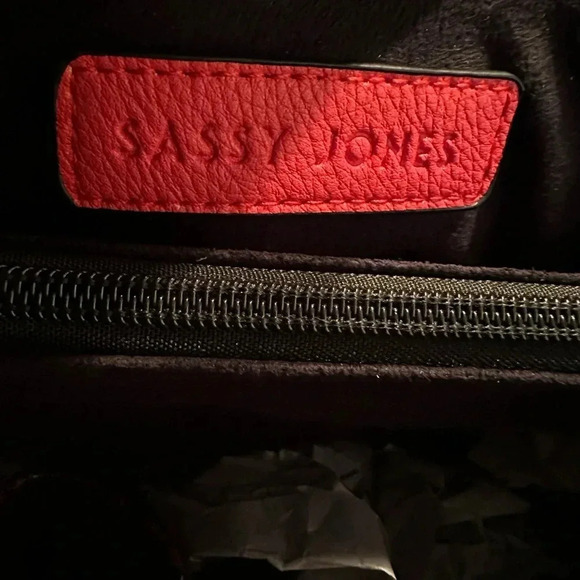 Sassy Jones NEW Pamela Snake Print ReEmbossed Large Crossbody  Bag - Picture 16 of 16